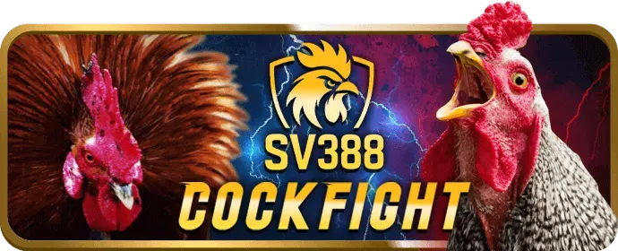 Đá gà Campuchia